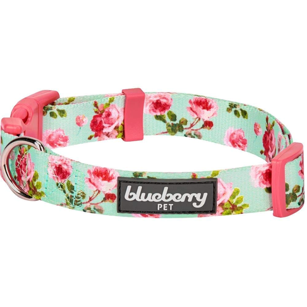 Blueberry Pet  եץ  淿 37cm-50cm