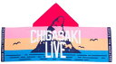 サザンオールスターズ(サザン) 45周年グッズ 茅ヶ崎ライブ 2023 タオル 烏帽子岩タオル(フード付き)