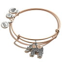 Alex and Ani シンボルの道 拡張可能バングル レディース 象のチャーム ツートンカラー 2~3.5インチ, Expandable, NA, 該当なし