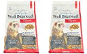 SANKO フェレット用メンテナンスフード ウェルバランス 800g入り×2袋セット フェレット用 えさ 無添加