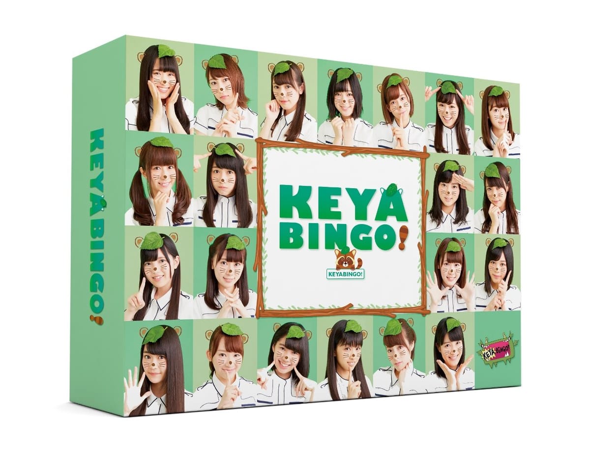 S! O46oGeB[ KEYABINGO! DVD-BOX (񐶎Y)