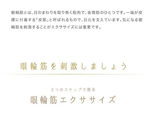 ホットアイマスク USB 充電式 アイマスク シルク 圧迫感なし コードレス リラックス 遮光 温度調節 自動電源オフ 安全保護 睡眠/昼休み/旅行//ギフト/プレゼント アイマスクホット