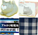 Hashy にゃんこ計 温湿度計 キジトラ ( すぐに使える 単4電池3本 + お手入れタオル付 )おしゃべりで温度と湿度をお知らせ 2022年リニューアル