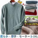 ウール100% プルオーバーセーター ハーフ ハイネック ウール ニット 長袖 メンズセーター カジュアル セーター sweater ハーフタートルネック 上着...