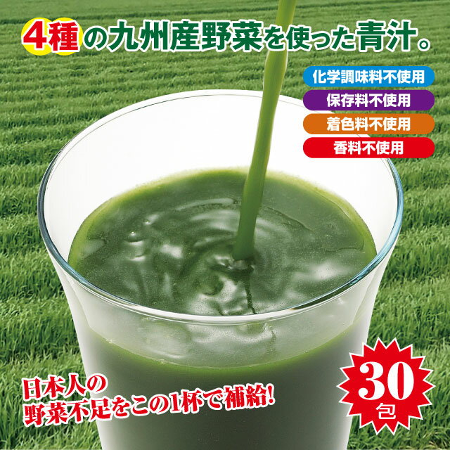 4種の九州産野菜青汁 30本・30日分