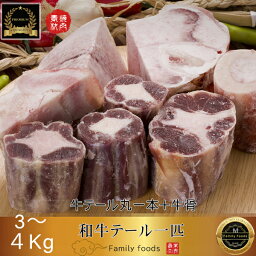 ◆冷凍◆ 和牛 テール 一匹「牛テール丸一本+牛骨」約3〜4kg / 国産 和牛/コムタン用 チム用 /BBQ/バーベキュー