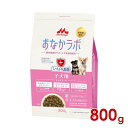 ◆最大400円OFFクーポン◆森乳サンワールド SG おなかラボ 子犬用 800g (78101037)