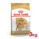 ロイヤルカナン BHN プードル 成犬用 3kg (52902062) ※お一人様4個まで 犬 ドッグ ドライフード