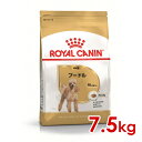 ロイヤルカナン BHN プードル 成犬用 7.5kg (52902063) ※お一人様5個まで 犬 ドッグ ドライフード