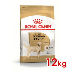 https://thumbnail.image.rakuten.co.jp/@0_mall/familypet/cabinet/asd/item/royalcanin/52902081.jpg