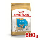 【セール】賞味期限:2025/10/23◆ロイヤルカナン BHN チワワ 子犬用 800g (w5290124) ※お一人様5個まで [犬 ドッグ ドライフード...