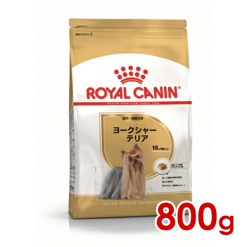 ロイヤルカナン BHN ヨークシャーテリア 成犬～高齢犬用 800g (52902123) ※お一人様5個まで 