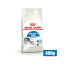 CJi FHN ChA Ő鐬Lp 400g (52905076) ll5܂ [L Lbg hCt[h]