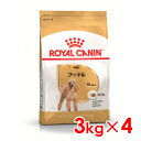 ロイヤルカナン BHN プードル 成犬用 3kg×4 (s5290051) ※お一人様1個まで [犬 ドッグ ドライフード]