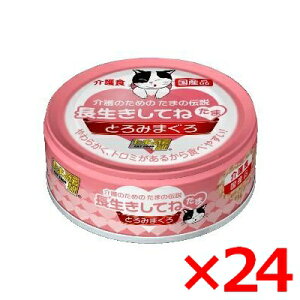 三洋食品 STIサンヨー 長生きしてね たま 介護のための たまの伝説　70g× 24(s3090011)