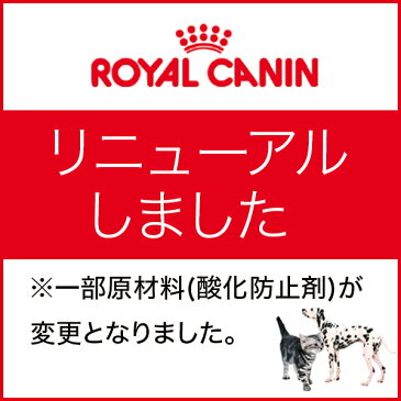 ロイヤルカナン 柴犬　成犬用　3kg※お一人様4個まで