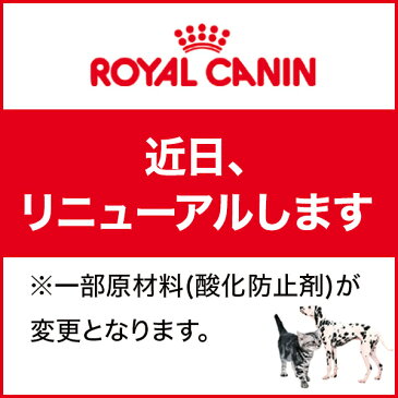 ロイヤルカナン キトン　成長後期の子猫用　10kg生後12ヵ月齢まで(52905071)●　※お一人様5個まで