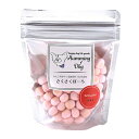 ワンダードック ハミングドッグ さくさくぼーろ トマト 50g(99301000)