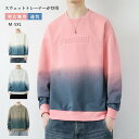 スウェットトレーナー 男女兼用 ユニセックス オーバーサイズ レディース メンズ ラグジュ 立体 3Dプリント 4colors