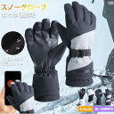 スノーグローブ スキーグローブ グローブ 手袋 メンズ レディース スノーボード スマホ対応 防風 防水 防寒 保温 5本指 男女兼用 バイク 超撥水 チャック...