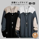 スウェット プルオーバー メンズ メンズファッション 秋 冬 フリース オーバーサイズ スウェット クルーネック 長袖 ドロップショルダー ビッグシルエット