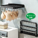 ピンチハンガー 壁掛け 洗濯ハンガー 物干しハンガー 洗濯ばさみ 洗濯物干し 靴下ハンガー ソックスハンガー 強力なピンチ 下着 タオル ブラジャー ネクタイ