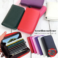 https://thumbnail.image.rakuten.co.jp/@0_mall/familystone/cabinet/04962321/item/accordion_02.jpg