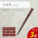 【P3倍★SALE期間限定】箸 食洗機対応 | 五角箸 来客用 お箸 箸 業務用 かわいい箸 箸 おしゃれ お箸 すべらない箸 持ちやすい箸 プレゼント ギフト 送料無料 メール便 お洒落 PBT 紅七宝ライン 日本製 | 22.5cm 五角箸 紅七宝ライン 福井クラフト