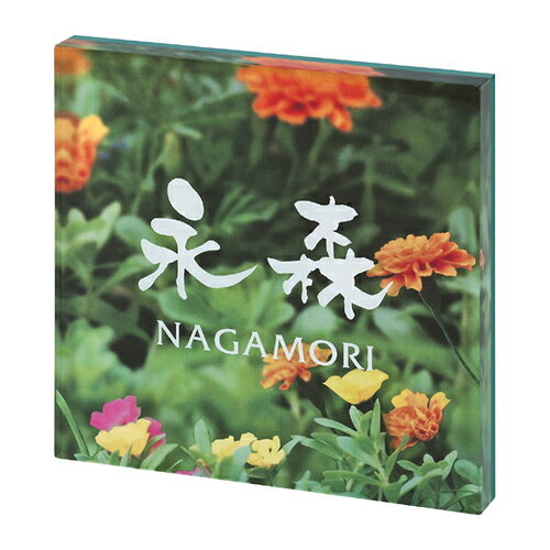 【送料無料】 アクリル表札 プライ PYS-6-6(文字：ホワイト） ※※ アクリル アート サイン 表札 新築 丸三タカギ 表札 ※※