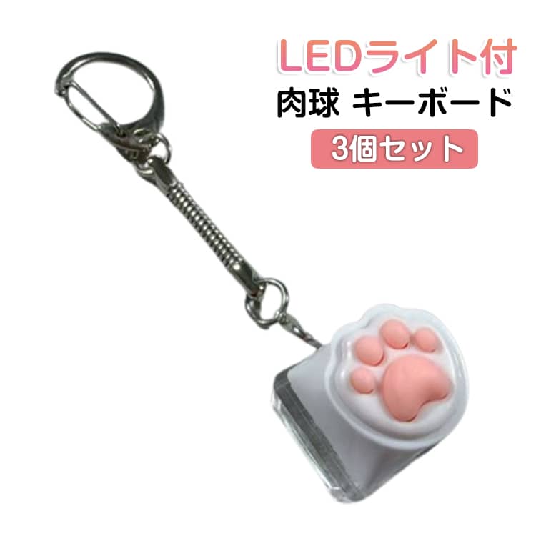 樂天商城 - 【3個セット】LEDライト付　肉球 キーボード キーホルダー 青軸 ナスカン ストラップ フィジェット ストレス解消 メカニカルスイッチ シリコン プニプニ アニマル 動物 いぬ 犬 ねこ 猫 デザイン adhd 暇つぶしグッズ
