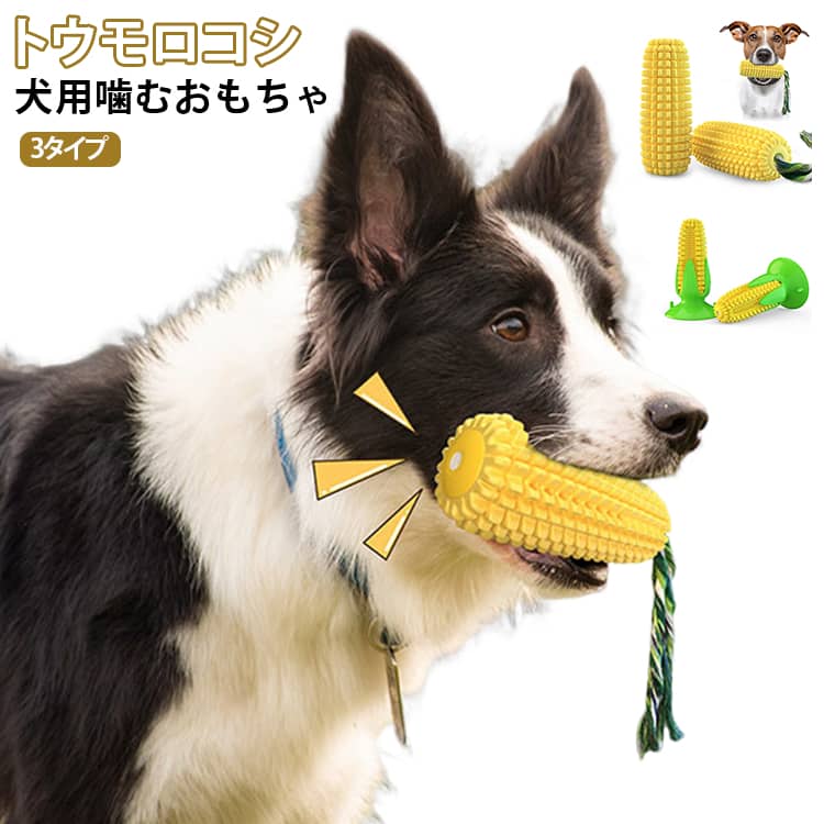 トウモロコシの粒々が犬の歯にフィットし、噛むたびに汚れや歯垢を落とす「歯ブラシ」の役割を果たします。楽しく遊びながら口内環境を清潔に保てます。噛むと音が鳴る仕掛けに加え、隙間にフードやおやつを隠せる「知育玩具」としても優秀です。飽きずに長時間遊べるため、運動不足解消に繋がります。底面の吸盤を床や壁に固定すれば、ワンちゃんが引っ張っても動かず、引っ張り合いっこの一人遊びが可能。飼い主さんが忙しい時のお留守番やストレス解消に最適です。小型犬から大型犬まで、強い力で噛んでも壊れにくい安全で丈夫な素材を採用。アクティブなワンちゃんでも安心して長くお使いいただけます。 サイズ F サイズについての説明 サイズ：トウモロコシ（鳴る） 56*56*147mm、トウモロコシ（ロープ付き） 56*56*111mm、トウモロコシ（吸盤付き） 98*98*147mm。※実寸はメジャー採寸の為、若干の誤差が生じる場合があります。 素材 TPR 色 トウモロコシ（鳴る） トウモロコシ（ロープ付き） トウモロコシ（吸盤付き） 備考 ●サイズ詳細等の測り方はスタッフ間で統一、徹底はしておりますが、実寸は商品によって若干の誤差(1cm～3cm )がある場合がございますので、予めご了承ください。 ●製造ロットにより、細部形状の違いや、同色でも色味に多少の誤差が生じます。 ●パッケージは改良のため予告なく仕様を変更する場合があります。 ▼商品の色は、撮影時の光や、お客様のモニターの色具合などにより、実際の商品と異なる場合がございます。あらかじめ、ご了承ください。 ▼生地の特性上、やや匂いが強く感じられるものもございます。数日のご使用や陰干しなどで気になる匂いはほとんど感じられなくなります。 ▼同じ商品でも生産時期により形やサイズ、カラーに多少の誤差が生じる場合もございます。 ▼他店舗でも在庫を共有して販売をしている為、受注後欠品となる場合もございます。予め、ご了承お願い申し上げます。 ▼出荷前に全て検品を行っておりますが、万が一商品に不具合があった場合は、お問い合わせフォームまたはメールよりご連絡頂けます様お願い申し上げます。速やかに対応致しますのでご安心ください。