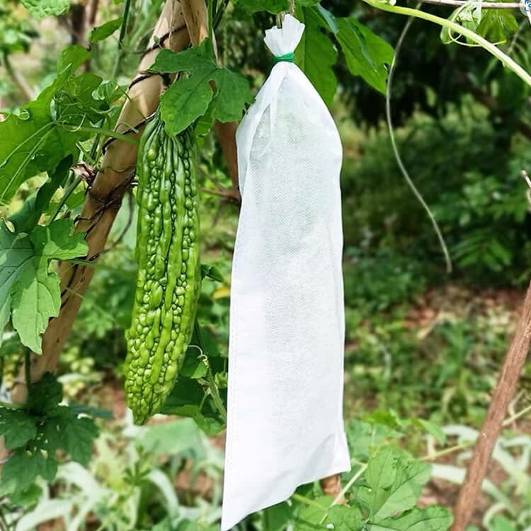 【80枚セット】 野菜 栽培 袋 防虫 防鳥 不織布 通気性 果物野菜ラップ袋 再利用可...