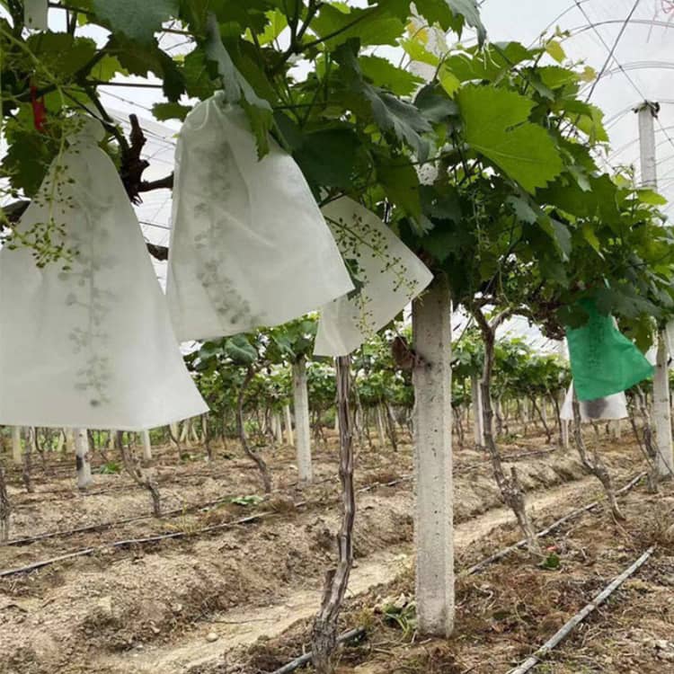 【80枚セット】 野菜 栽培 袋 防虫 防鳥 不織布 通気性 果物野菜ラップ袋 再利用可...