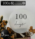 100日 祝い 飾り バルーン 風船 撮影 バナー  お食い初め 飾り付け 記念写真 フォト ベビーフォト 寝相アート