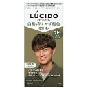 ルシード デザインヘアカラー 2M マットアッシュ LUCIDO 白髪用