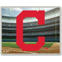 MLB CfBAX sobW EBNtg (Collector Pin-OFF PRICE)
