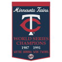 MLB cCY yig EBNtg (24X38 Wool Banner-Championship)