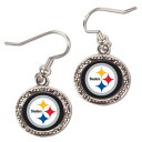NFL スティーラーズ ピアス・イヤリング ウィンクラフト レディース (Round Dangle Earrings)(4)