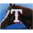 Highlight your passion for the Texas Rangers by picking up this 16'' x 20'' Photo Print. It is a limited edition item that was designed and signed by Artist Maz Adams, so be sure to make it a part of anywhere in your home or office,Officially licensedBrand: MajesticShort sleeveScreen print graphicsOfficially licensedTagless collarRib-knit collarImported100% PolyesterMoisture-wicking material