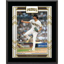 MLB パドレス ダルビッシュ有 コレクタブルフォト Fanatics（ファナティクス） (UNS PP24BB PLAQUE 6242022)