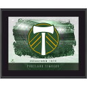 【公式グッズ】MLS ティンバーズ コレクタブルフォト Fanatics Authentic/ファナティクスオーセンティック (UNS TP22SC PLAQUE 44899)