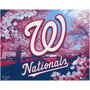 Commemorate your Washington Nationals with this 16" x 20" Photo Print. Signed and designed by Artist Brian Konnick, this unique print showcases a bold Washington Nationals logo to make it the perfect piece to highlight your fandom.Made in the USABrand: Fanatics AuthenticDimensions are approximately 16" x 20"Officially licensed