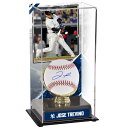 Take your New York Yankees memorabilia collection to another level with this Jose Trevino Autographed Baseball with Sublimated Gold Glove Display Case. The case features a background image and name plate of New York's star catcher, while the baseball features his hand-signed autograph. Whether displayed in your home or office, there's no better way to commemorate one of your favorite Yankees in Jose Trevino.Brand: Fanatics AuthenticOfficially licensedHand-signed autographIncludes an individually numbered, tamper-evident hologramObtained under the auspices of the Major League Baseball Authentication Program and can be verified by its numbered hologram at MLB.comSignature may vary