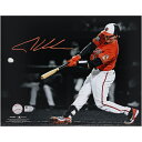 【MLB公式ホログラム付】MLB オリオールズ アドリー・ルッチマン 直筆サイン フォト (11x14) Fanatics Authentic/ファナティクスオーセンティック (AUTGU 11x14 PHOTO 44951)(4)