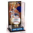 MLB メッツ ゲイリー・カーター コレクタブル用 野球ボールケース（ボール無し） Fanatics（ファナティクス） (UNS TALL DISPLAY CASE 44789)