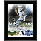 MLS カップ戦 コレクタブルフォト Fanatics（ファナティクス） (UNS 21 MLS CONF DUELING PLAQUE 1262021)