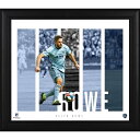 Each collectible comes designed with a photo of the player, their home stadium, and a team logo. It is framed in black w...