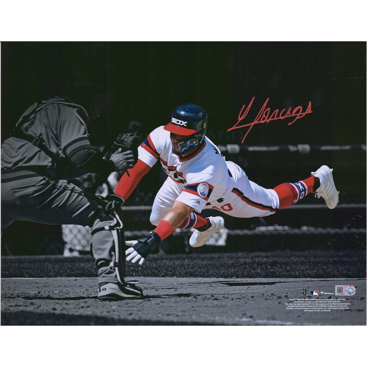 エントリーでポイント 5倍【MLB公式ホログラム付】MLB ホワイトソックス ヨアン・モンカダ 直筆サイン フォト Fanatics ファナティクス オーセンティック (Yoan Moncada Aut 11x14)