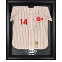 MLB レッズ コレクタブル用 ユニフォームケース Fanatics(ファナティクス) ブラック (Fr Jersey Display Case)