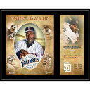 MLB パドレス トニー・グウィン コレクタブルフォト Fanatics（ファナティクス） (12x15 HOF Profile Plaque MLB)